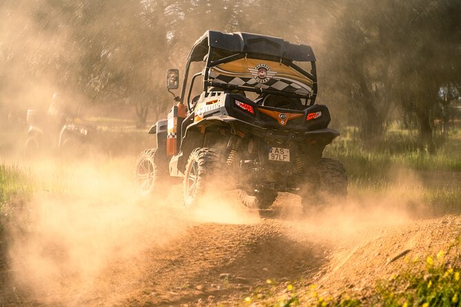 Small-Group Buggy Riding Safari in Algarve - Participant Requirements