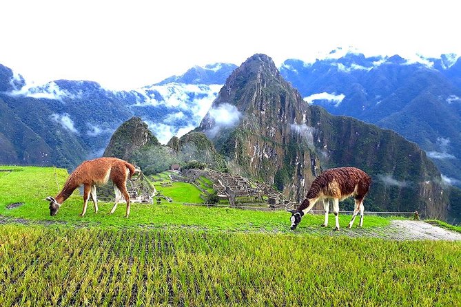 Small-Group Day Tour to Machu Picchu - Pickup Locations