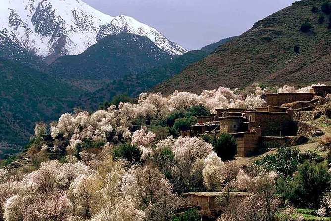 Small Group Day Tour to Ourika Valley From Marrakech - Itinerary Overview