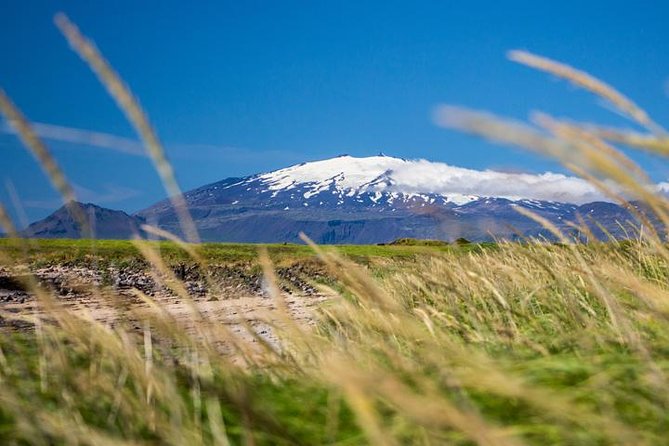 Small-Group Day Trip to Snaefellsnes National Park - Traveler Tips and Reviews