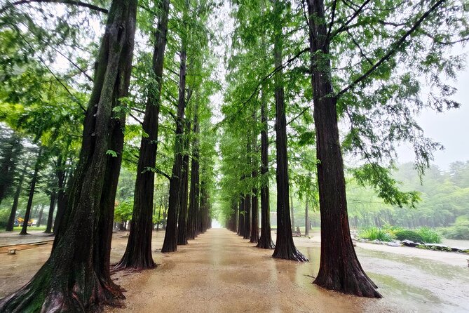 Small-Group Full-Day Tour in Nami Island From Seoul, Korea - Weather and Cancellation Policy