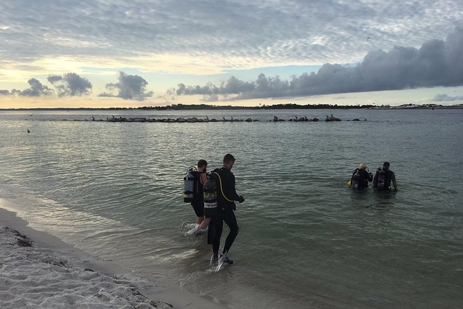 Small Group Guided Shore Dives in St. Andrews State Park, Florida - Equipment Provided