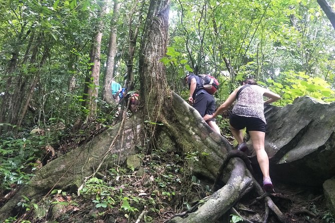 Small-Group Jungle Hiking Excursion in Khao Phra Teaw Park - Customer Reviews