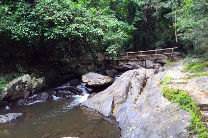 Small-Group Pala U Waterfall Jungle Tour From Hua Hin - Traveler Reviews