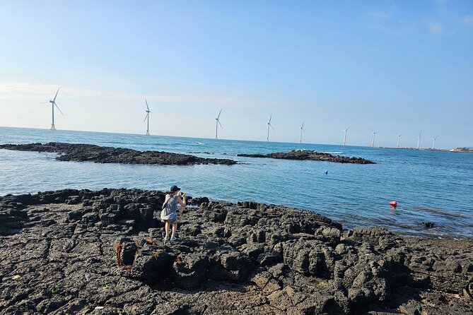 Small Group Private Day Tour - West of Jeju Island - Highlights