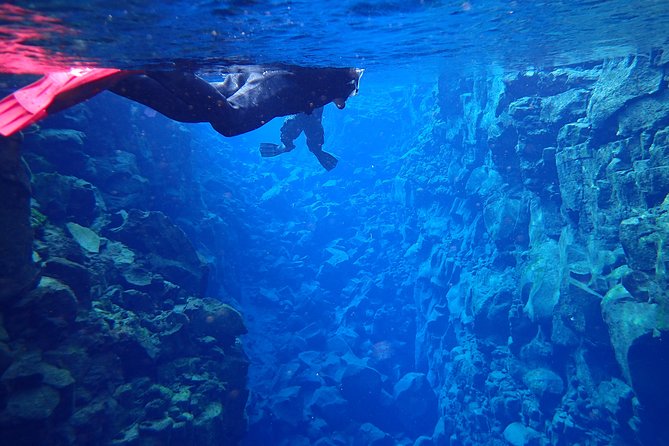 Small-Group Snorkeling Experience at Silfra Fissure in Thingvellir National Park - Small-Group Experience Details