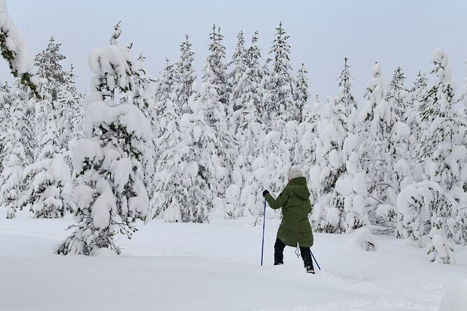 Small-Group Snowshoeing Adventure In Lapland - Accessibility Information