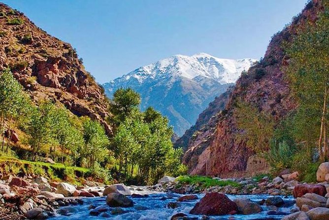 Small-Group Tour From Marrakech to the Atlas Mountains - Whats Included