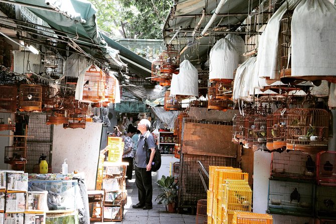 Small-Group Tour: Local Markets Hopping Tour in Hong Kong [] - Tour Overview and Highlights