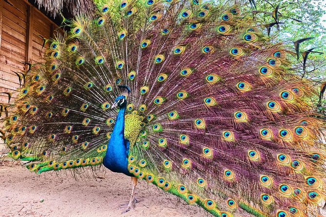 Small Group Tour to the Aviary From Cartagena - Aviary Location