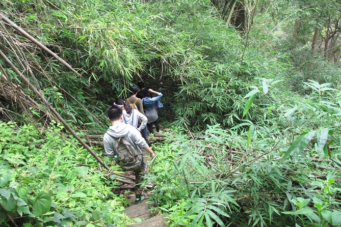 Small Group : Trekking Trip in Chiang Mai (Doi Suthep Area) With Market Tour - Whats Included