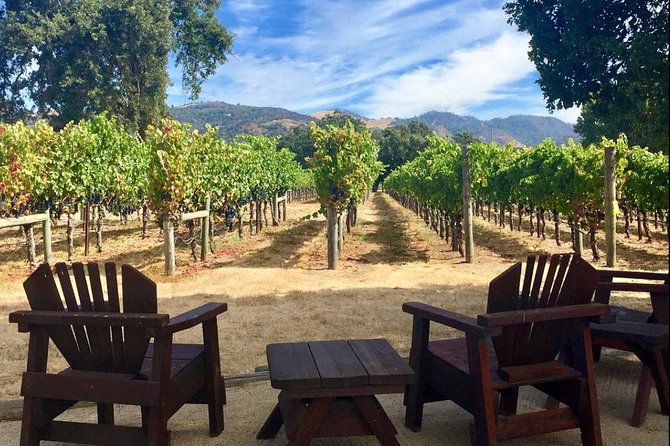 Small-Group Wine-Tasting Tour Through North Sonoma County - Logistics and Company Info