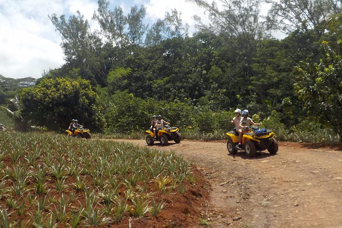 Small Quad Tour 2h30 Quad Excursion in Moorea (Single or Two-Seater) - Pickup Instructions