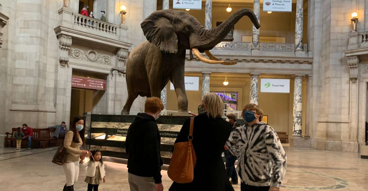 Smithsonian National Museum of Natural History Guided Tour - Tour Experience Details