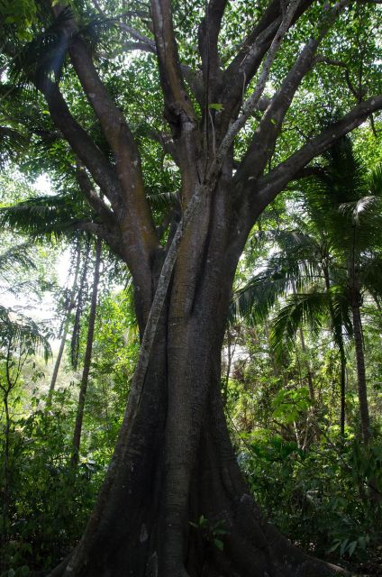 SMR TAYRONA NATIONAL PARK - Trek to Cabo San Juan - Experience Highlights