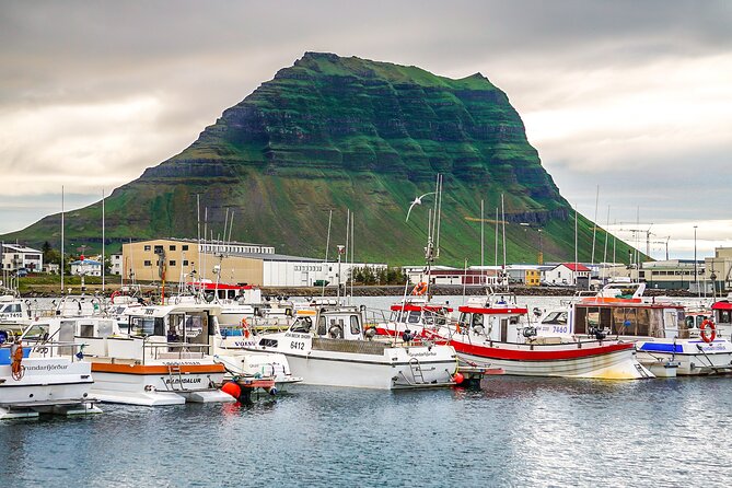 Snaefellsnes and Kirkjufell Day Tour by Minibus From Reykjavik - Inclusions and Amenities