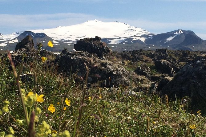 Snæfellsnes & Vatnshellir Lava Cave - PRIVATE TOUR - Pricing and Policies