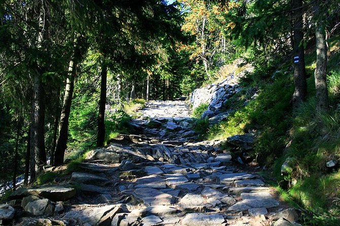 SněžKa: the Czech Highest Mountain Hiking Tour - Traveler Experience