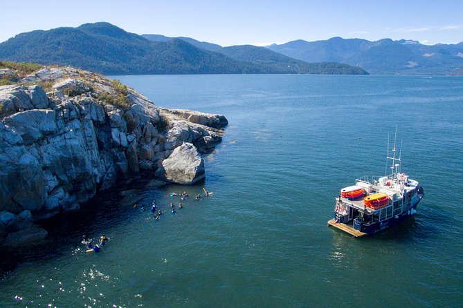 Snorkel, Kayak, and Seal Adventure: Vancouver Boat Tour - Activity Details