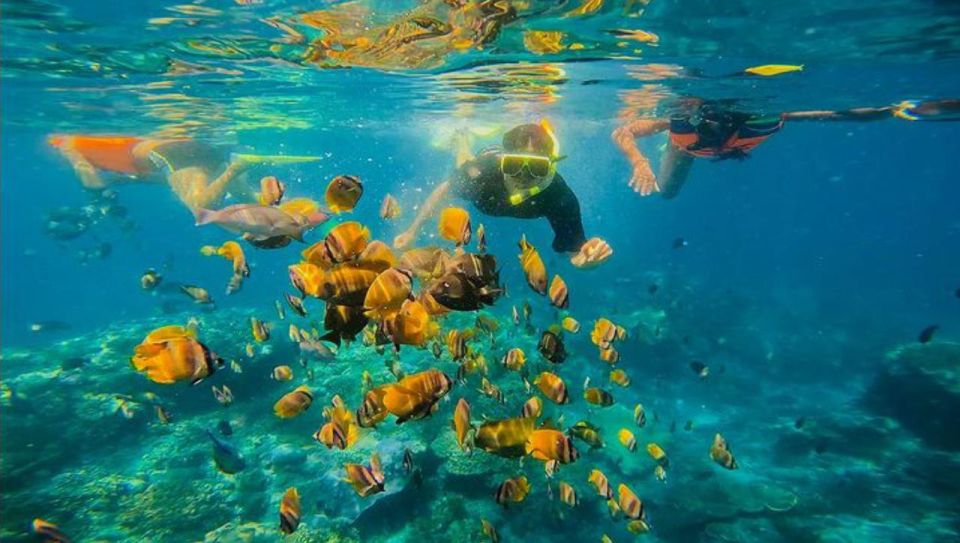 Snorkeling at Blue Lagoon and Waterfall - All Inclusive - Language and Pickup Information