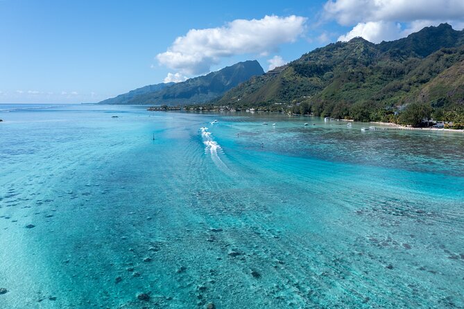 Snorkeling Excursion and Encounter With Marine Fauna in Moorea - Traveler Experience and Reviews