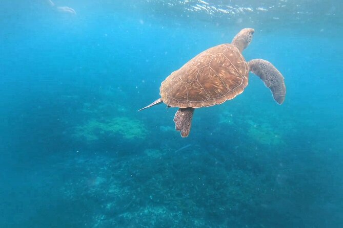 Snorkeling Experience in Santa Maria Bay by Boat - Boat Snorkeling: Unique Experience