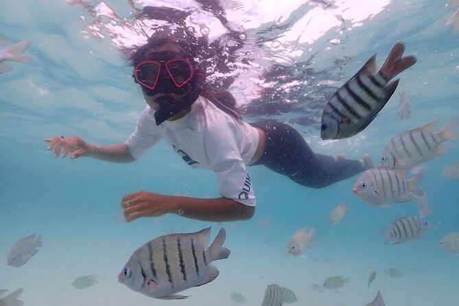 Snorkeling Full Day Experience From Bangkok - Inclusions and Facilities Provided