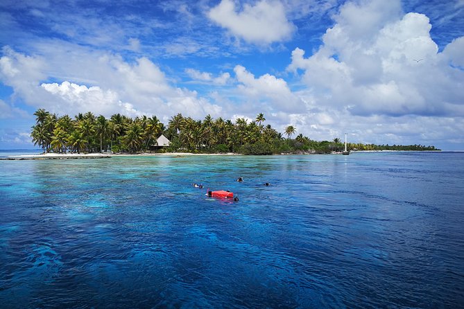 Snorkeling in the Pass - Best Time to Snorkel in the Pass