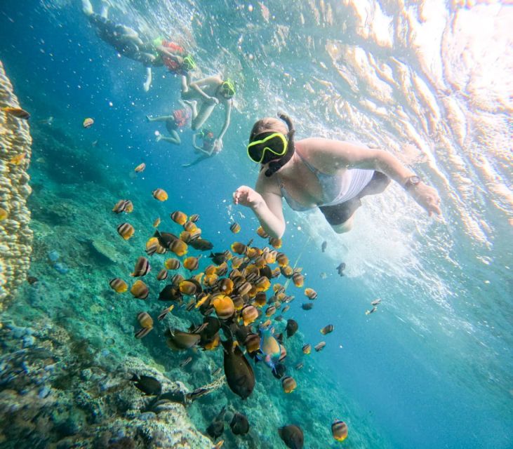 Snorkeling Nusapenida - Best Part Swim With the Mantarays - Duration and Cancellation Policy