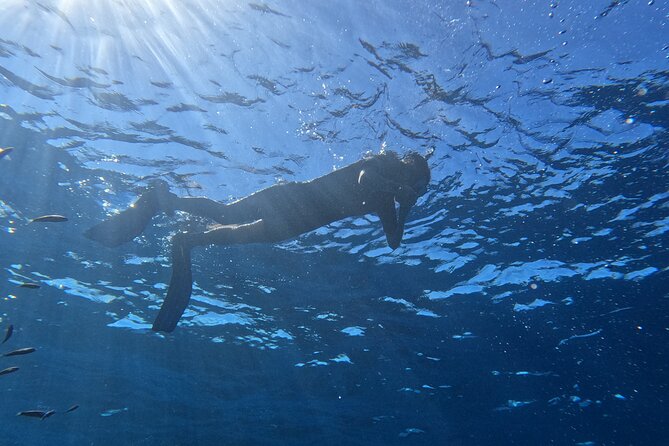 Snorkeling With a Professional Instructor in Tenerife - Safety Briefing