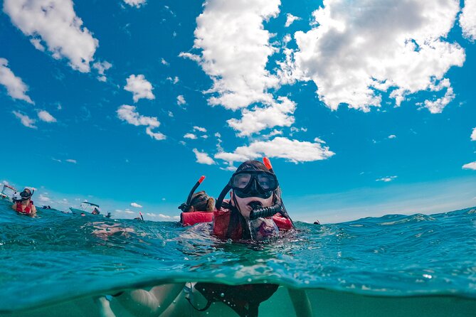 Snorkelling Experience in Leranto Bay - Gear and Equipment Provided