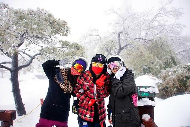 Snow or Ski Day Trip to Elysian Ski Resort From Seoul - No Shopping - Cancellation Policy