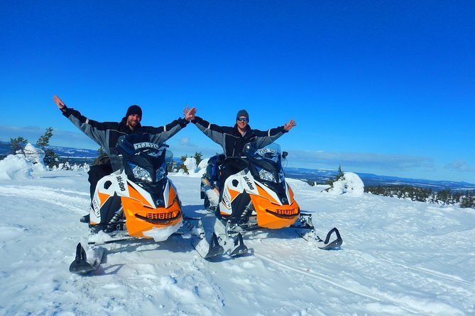 Snowmobile Adventure in Swedish Lapland (Day Tour) - Inclusions and Pricing