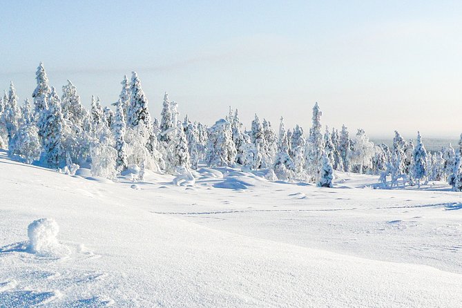 Snowmobile Safari in the Nature - Afternoon Start - Tips for a Memorable Experience