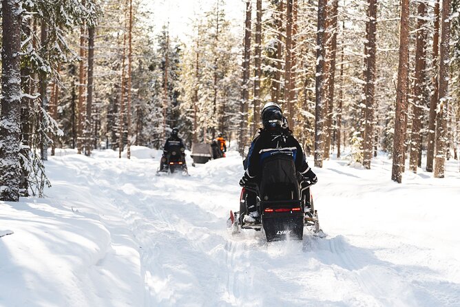 Snowmobile Safari Into the Arctic Circle Forest - Customer Feedback and Recommendations