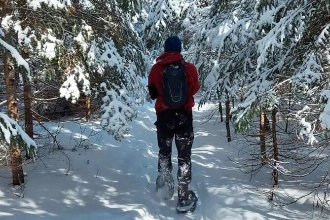 Snowshoe Awenda Provincial Park on Beautiful Georgian Bay - Snowshoeing Trails