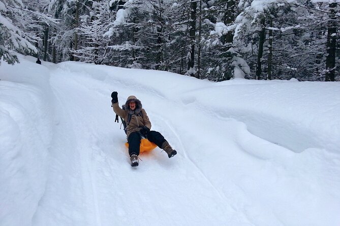 Snowshoe Tour on Schliersee With Zipflbob Ride - Snowshoeing Experience