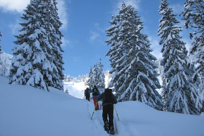 Snowshoe Tour on the Schliersee - Equipment Needed