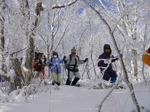 Snowshoe Tour - Booking Process