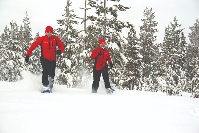 Snowshoe Trekking, Ice Fishing, and Grilling in Arctic Nature From Rovaniemi - Grilling in Arctic Wilderness