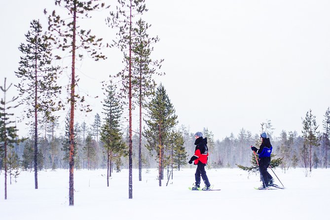 Snowshoe Trip for Searching Arctic Animals - Arctic Animal Search Tips