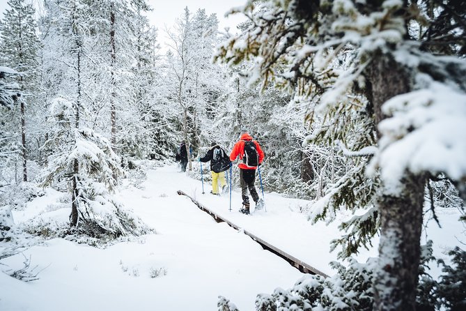 Snowshoe Winter Hike From Stockholm - What to Wear
