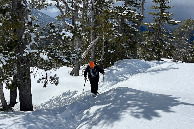 Snowshoeing at The Top of The Sea to Sky Gondola - Guide Information and Pricing