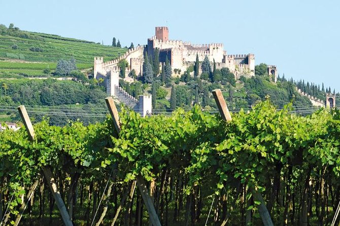 Soave Borgo Wine Day Trip With Light Lunch & 2 Wineries - Wine Tasting Experience