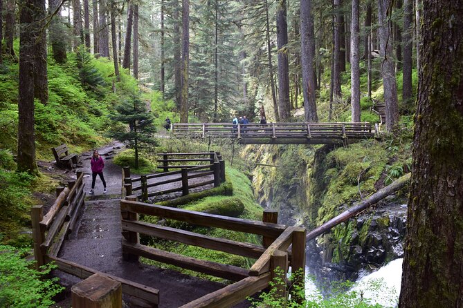 Sol Duc, Lake Crescent, and Hurricane Ridge Guided Tour in Olympic National Park - Inclusions