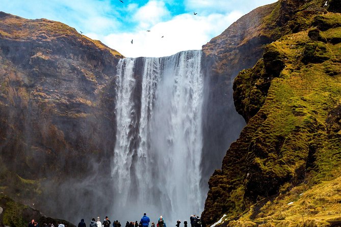 South Coast Highlights & Glacier Hiking Small Group Tour From Reykjavik - Glacier Hike Experience Details