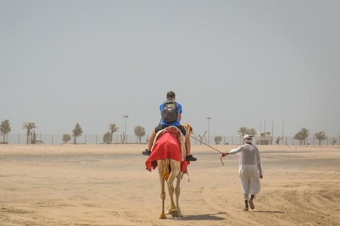 South Coast Tour With Camel Ride in Qatar - Camel Ride Experience