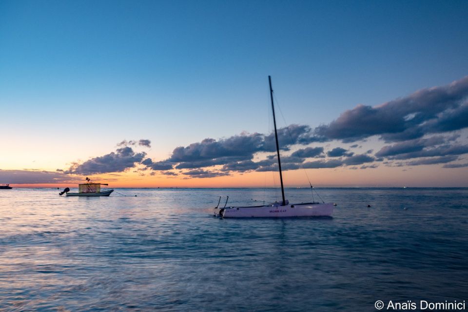 South Marine Park & Cozumel Reef Scuba Diving Tour - Experience Highlights