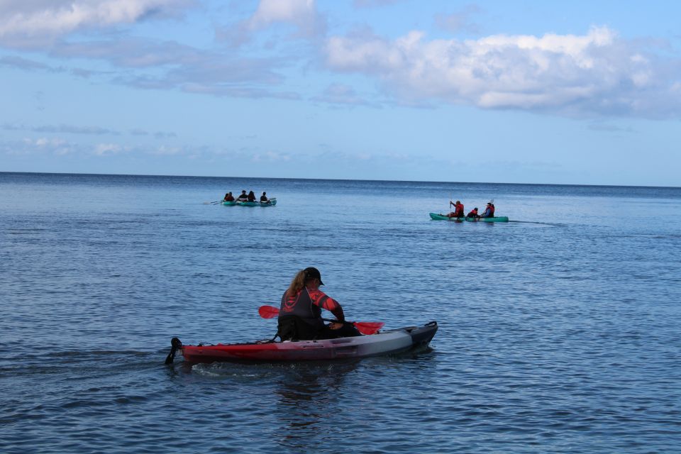 South Maui: Au'au Channel Kayak and Snorkel Adventure - Experience Highlights