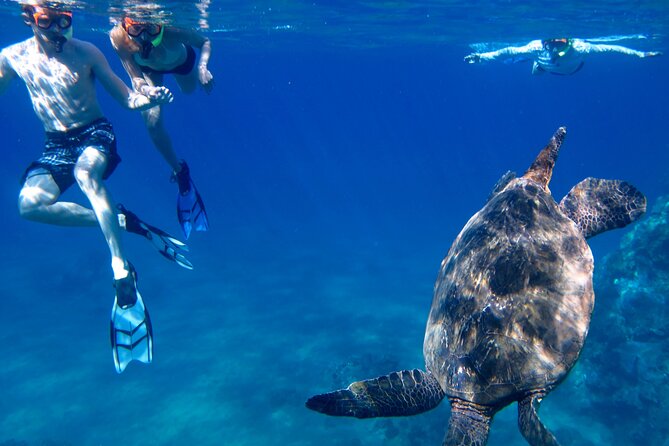 South Maui Kayak and Snorkel Tour With Turtles - Tour Highlights and Inclusions